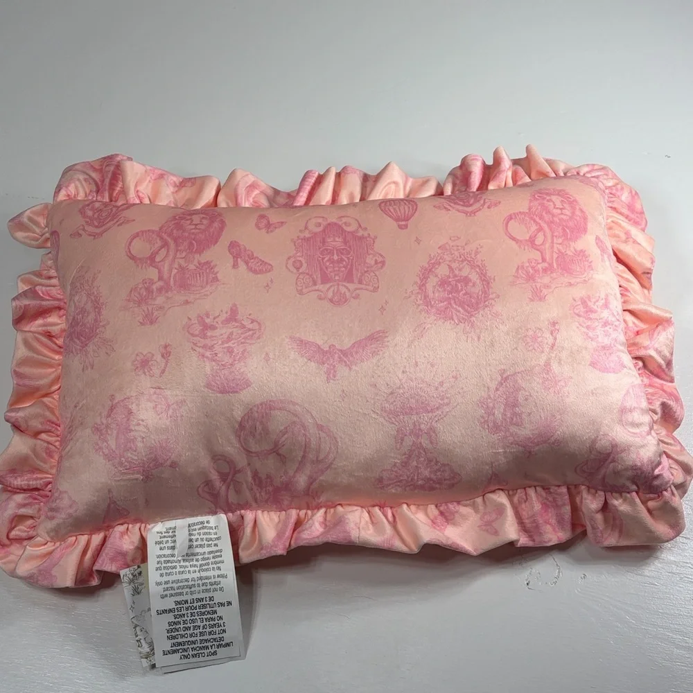 Decorative pillow from wicked - katie kime collab “Be Fearlessly Amazing” 20x13